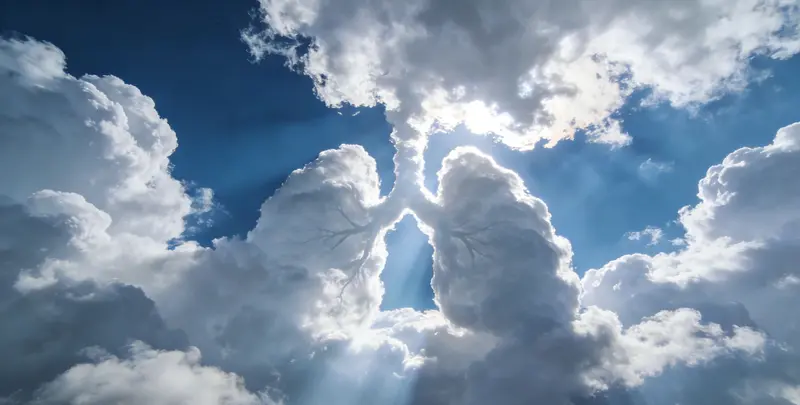 绵阳肺癌靶向120基因检测（组织）图片1