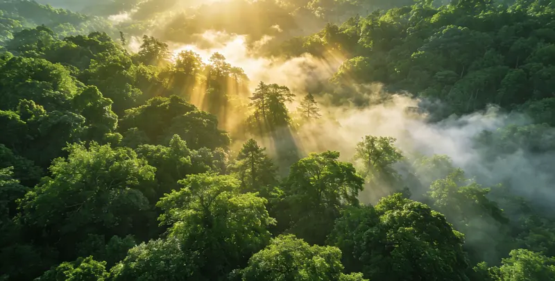 绵阳肺癌12基因ctDNA突变检测(血液）图片1