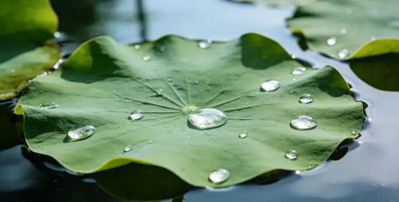 绵阳乳腺癌21基因mRNA表达分析图片1