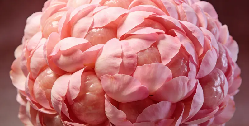 绵阳BRCA1/2乳腺癌卵巢癌基因检测图片1